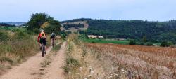 Chemin à travers champs