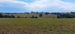 Paysage