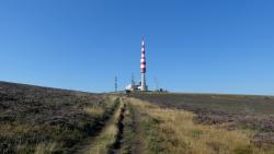 VTT-37289