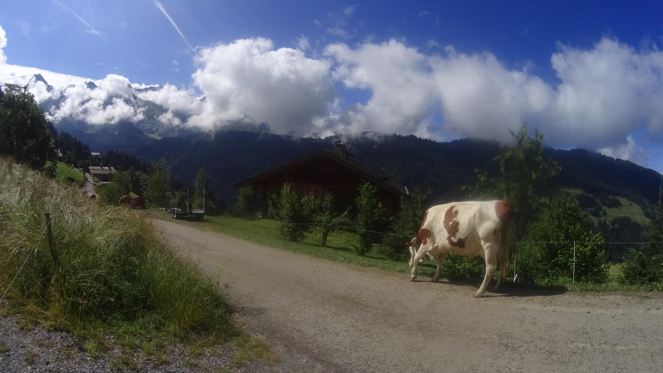 Col des Annes