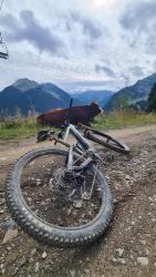 VTT-37348