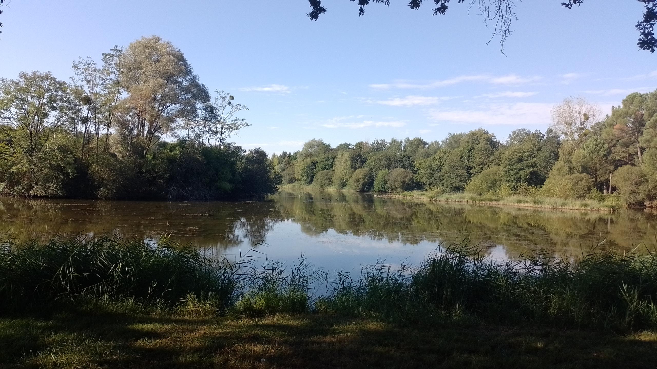Randonnee KSB 2023 - 56 km