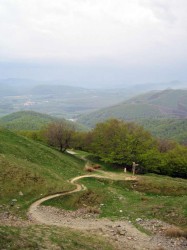 Vue sur les toits de l'abbaye de Roncevallès