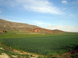 La meseta