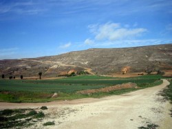 Chemins blanc de la meseta