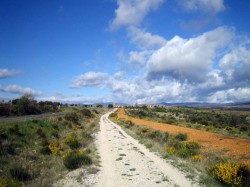 Chemin parallèle à la route jusqu'à el Ganso