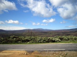 Chemin parallèle à la route jusqu'à el Ganso