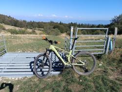 VTT-37430