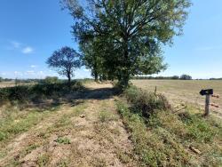 Chemin fraichement tondu pour la rando