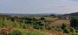 Paysage