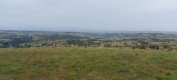 Paysage