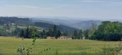 Paysage