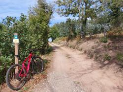 Chemin en haut d'Arcinges