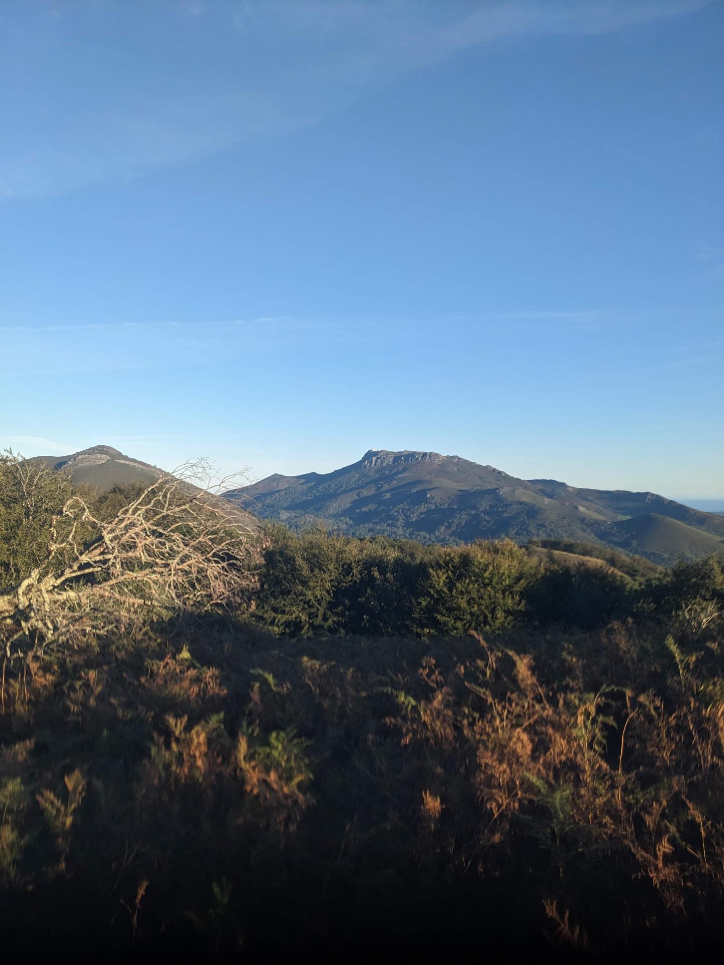Sare - Col des Palombières