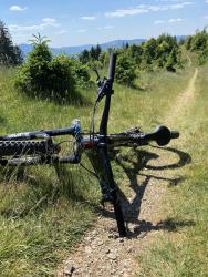 VTT-37657