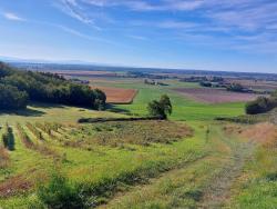 Descente vers la plaine agricole