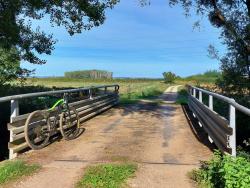 Pont sur un ruisseau