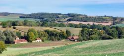 Paysage