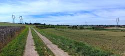 Paysage