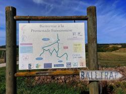 Promenade Buissonnière