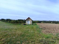 Loge de vignes
