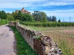 Vue sur le château de Montfan(d)