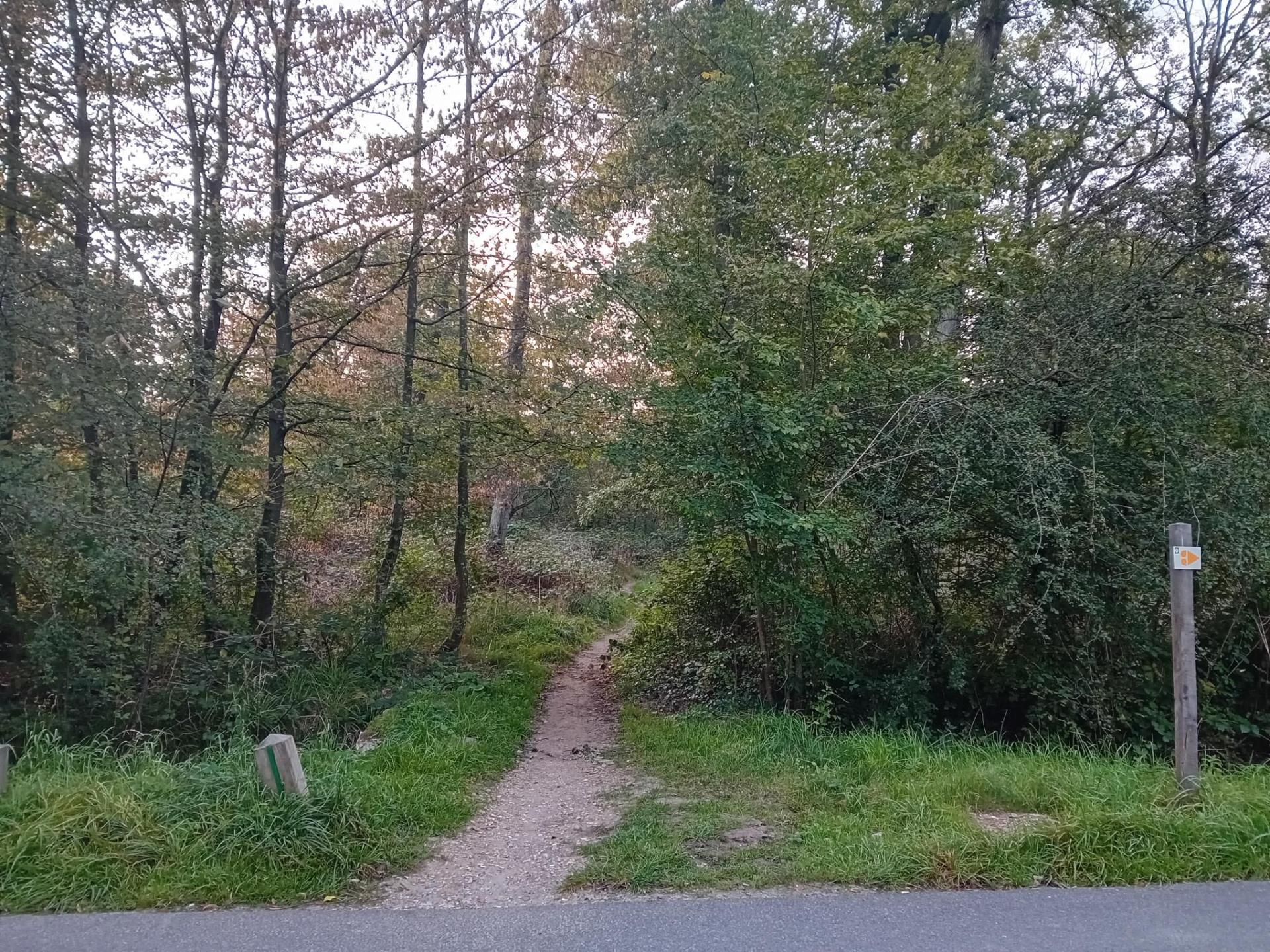 Base VTT de Sénart - Circuit N°5