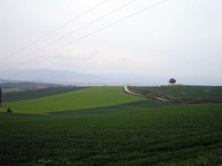 Les grands champs à la sortie de Pampelona
