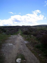 Descente sur Molinaseca