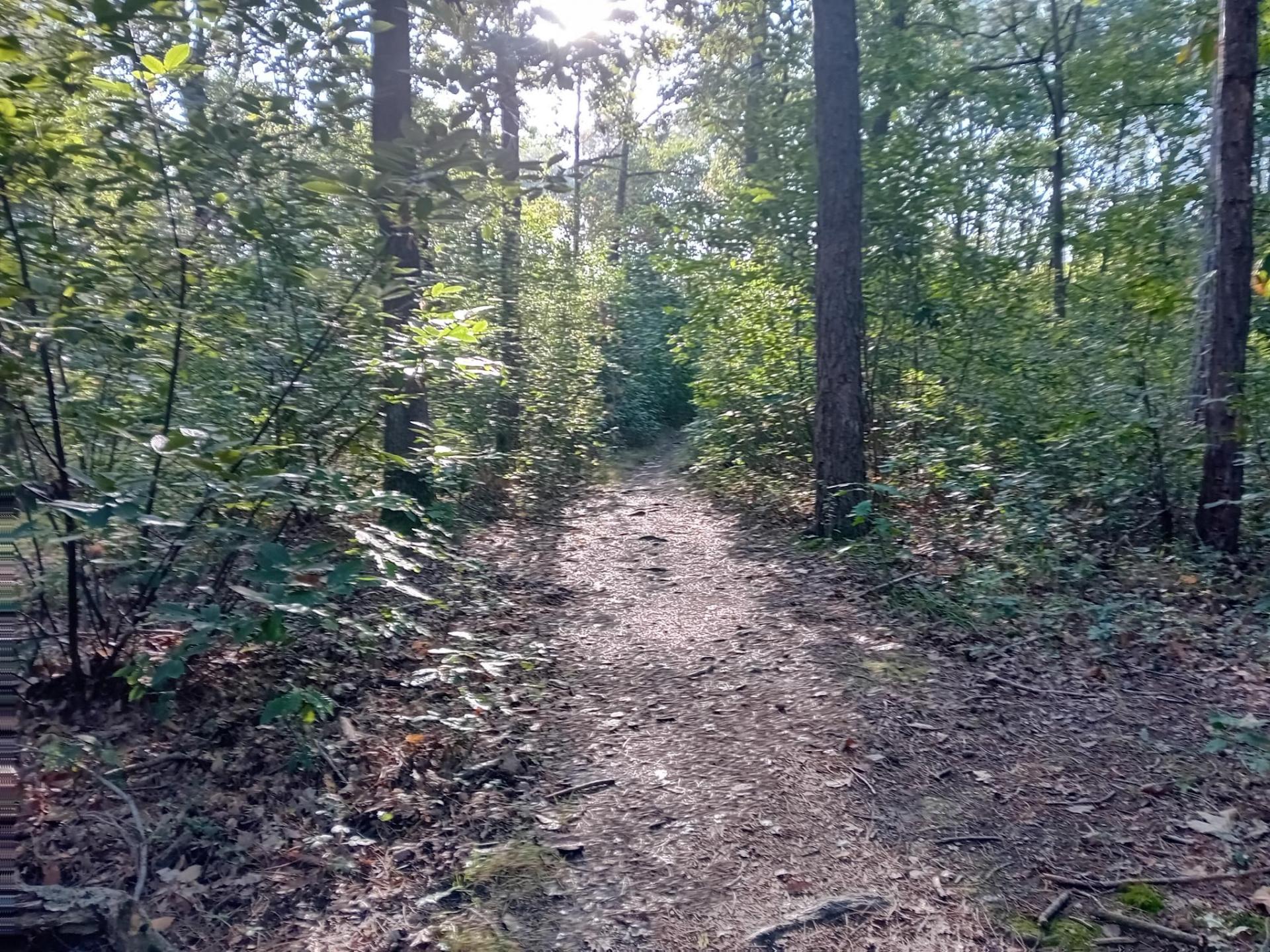 Base VTT de Sénart - Circuit N° 4
