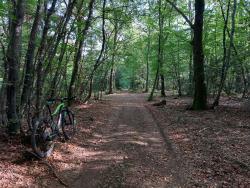 Bois de la Garde