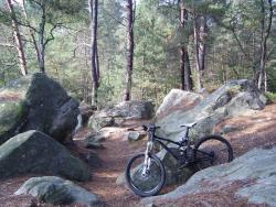 VTT-37895