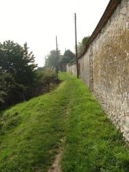 Les Longs Sillons à Thomery