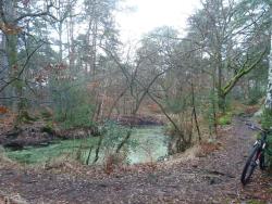 Mare aux Ligueurs