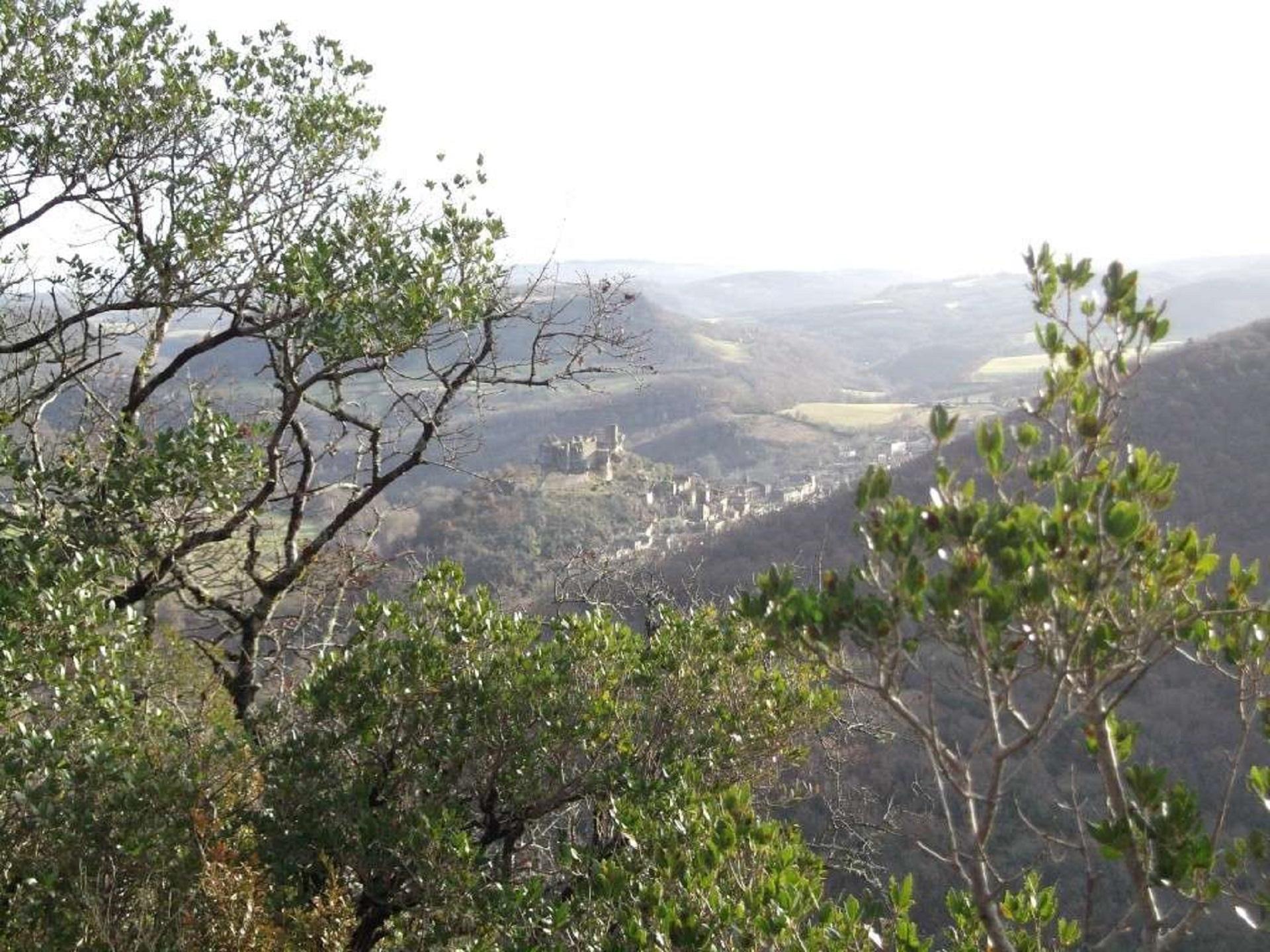 Bruniquel et les gorges de l'Aveyron
