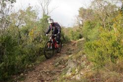 VTT-37984