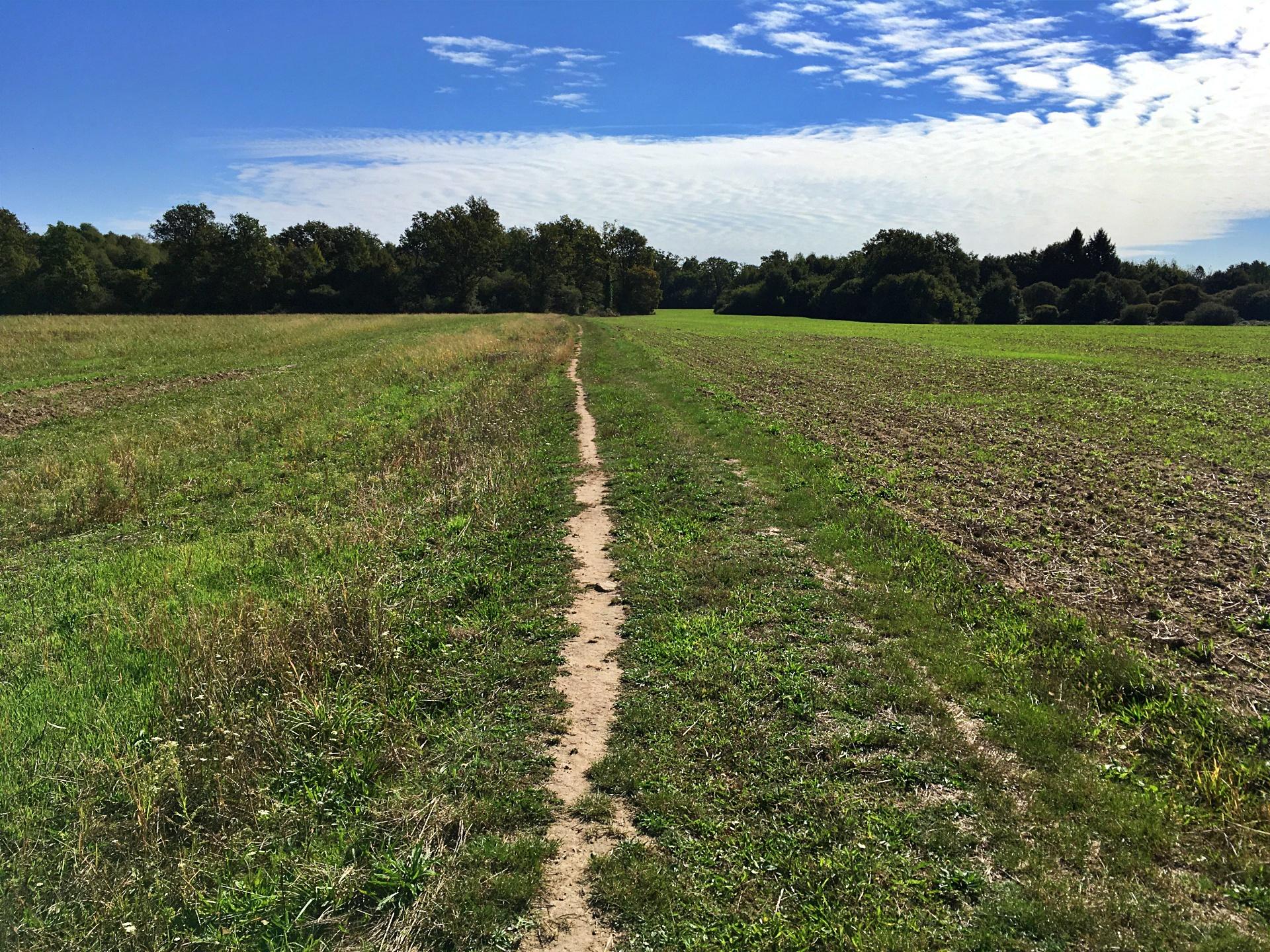 Espace VTT-FFC des Monts de Blond - Circuit N°12 : Les Brandes