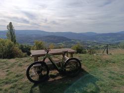 VTT-37997