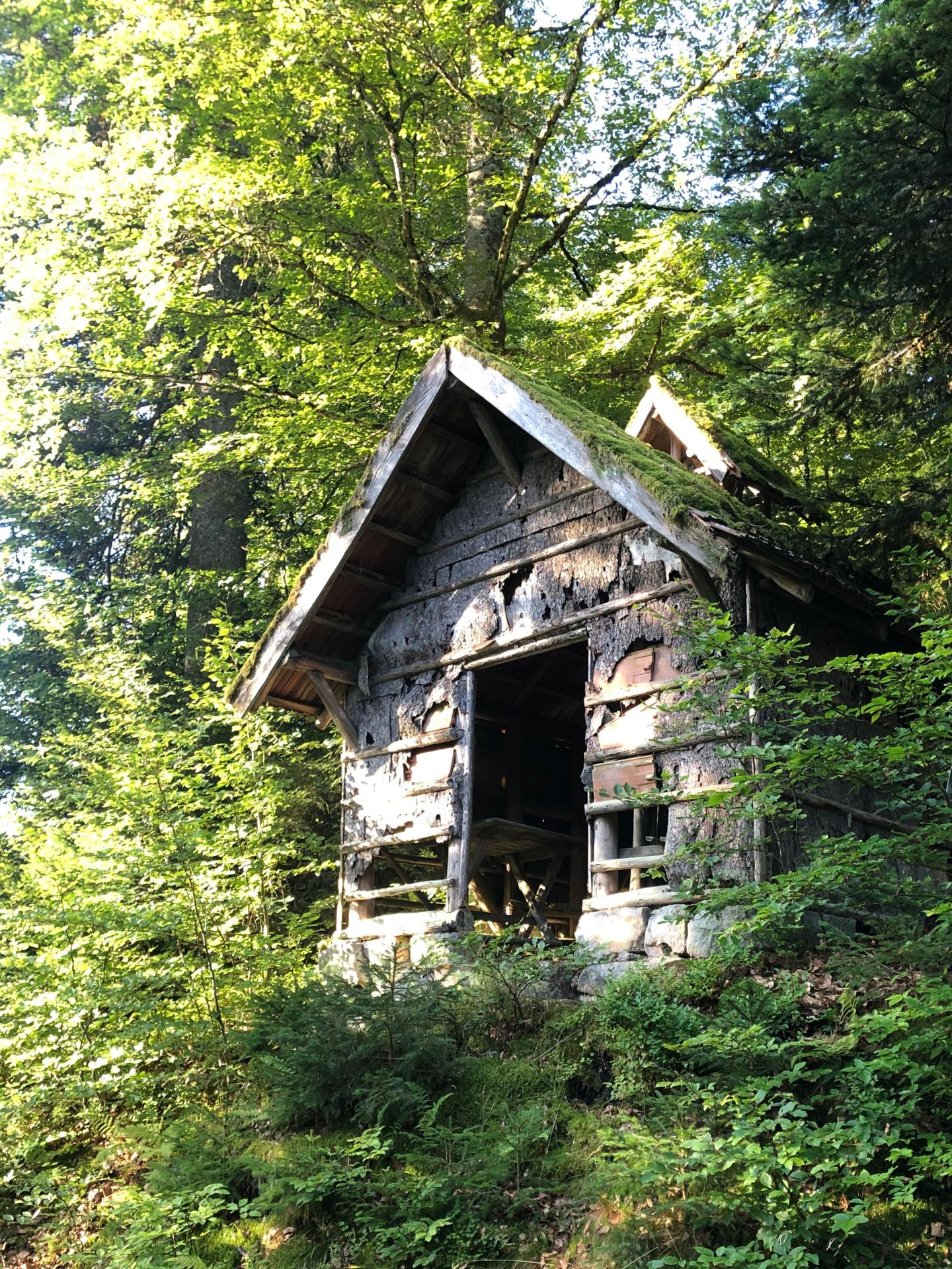 Zuflucht - Baiersbronn (Rinkenturm) - Obertal