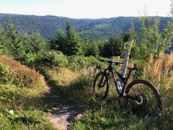 VTT-38040