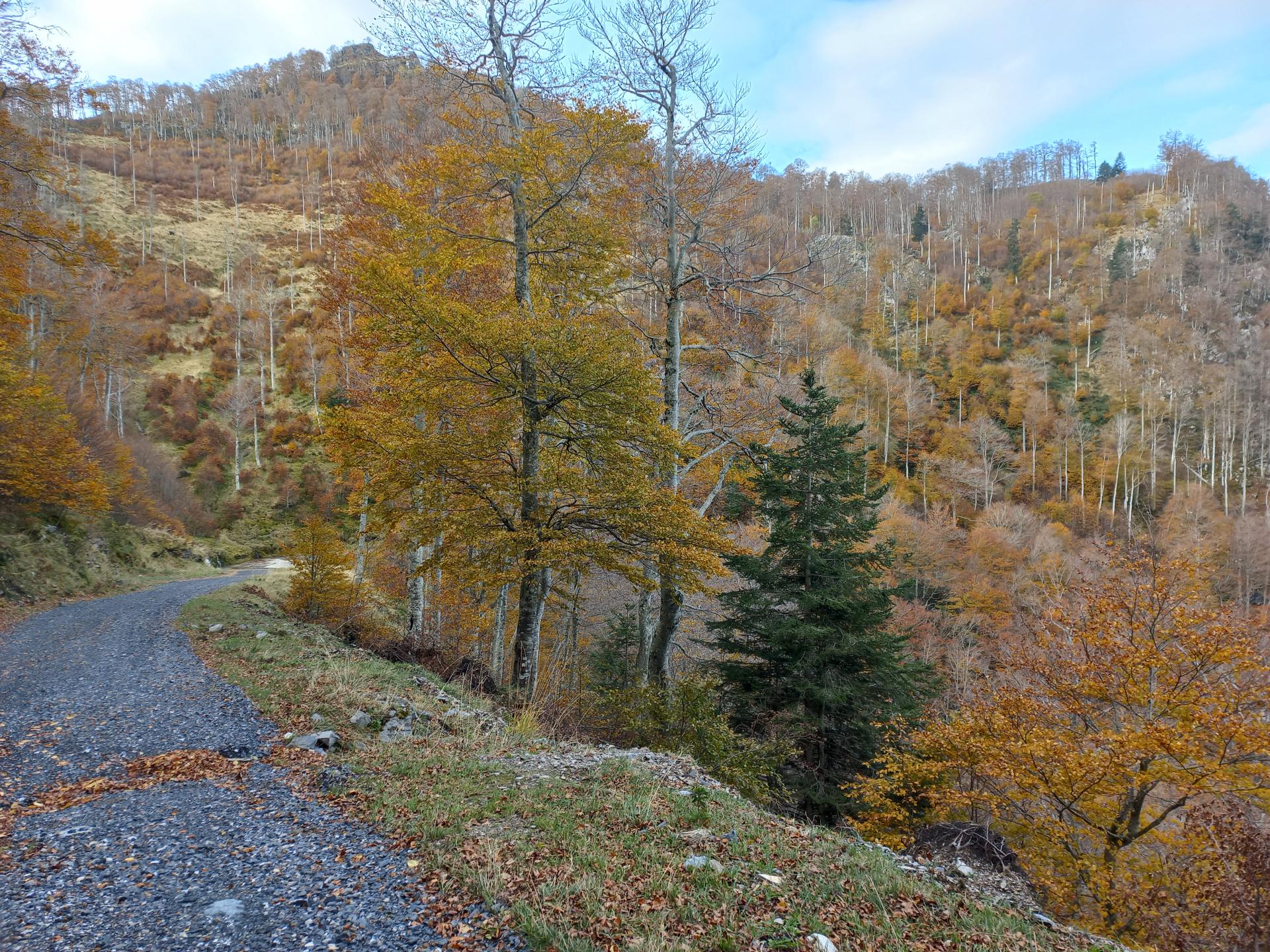 Pic de Paloumère - Descente directe sur Milhas