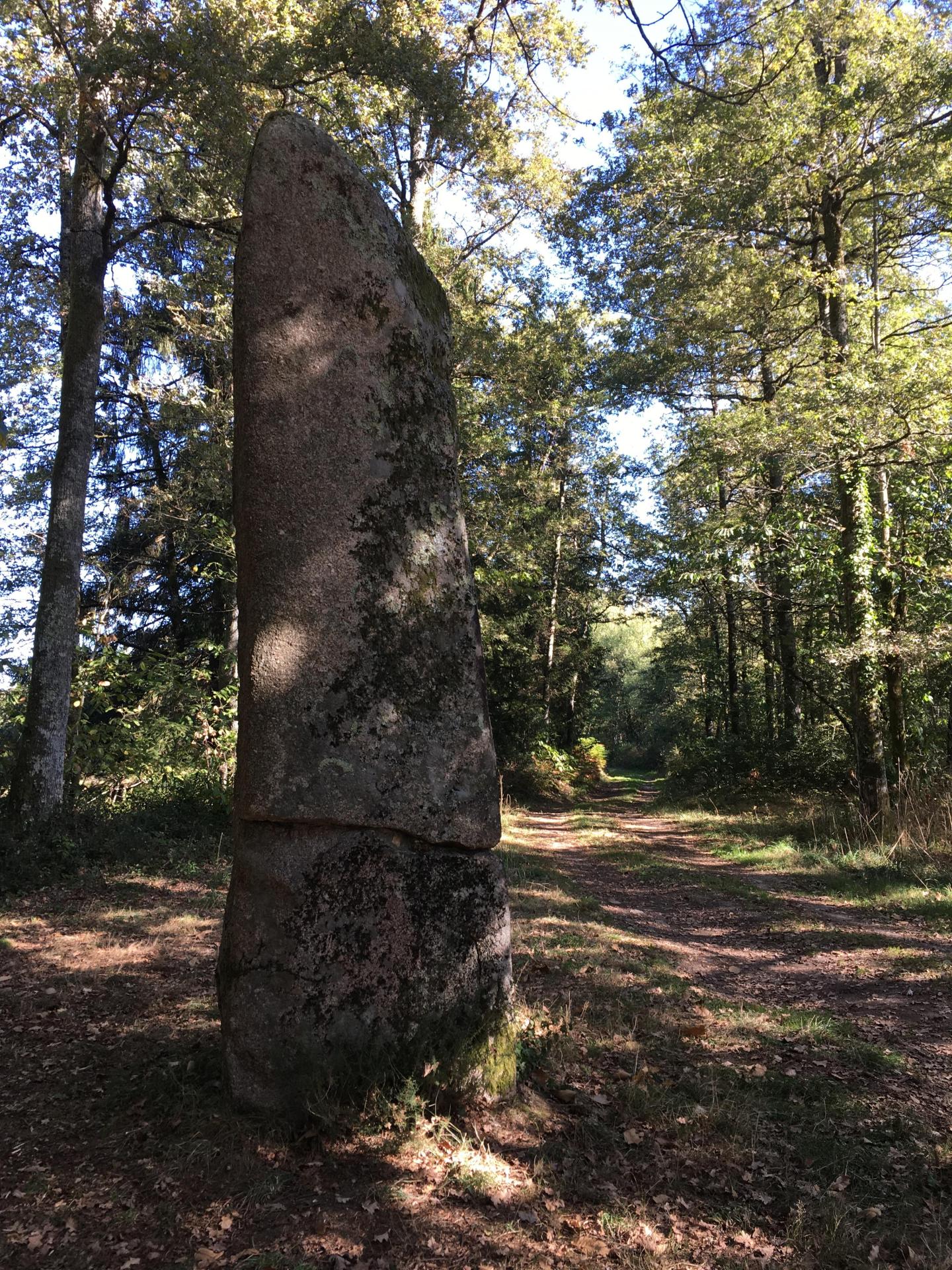Espace VTT-FFC des Monts de Blond - Circuit N°13 : Les Fourmilloux