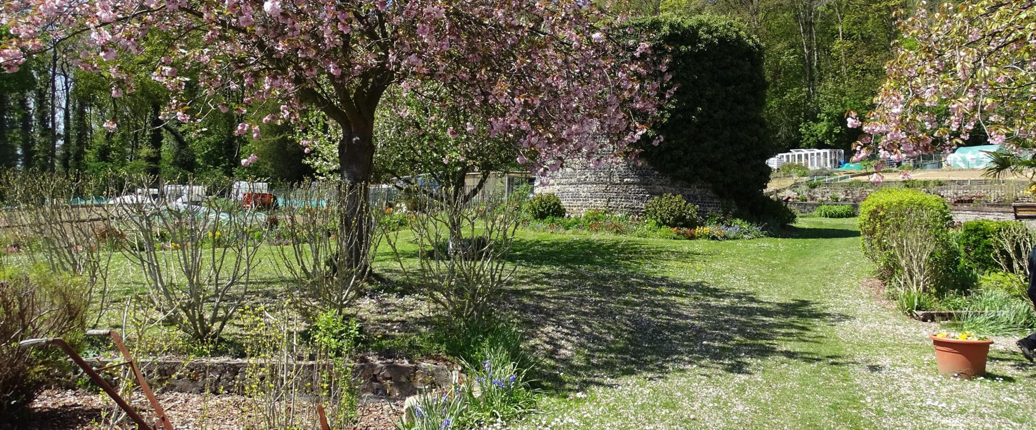En passant par le jardin du Petit Colmoulins
