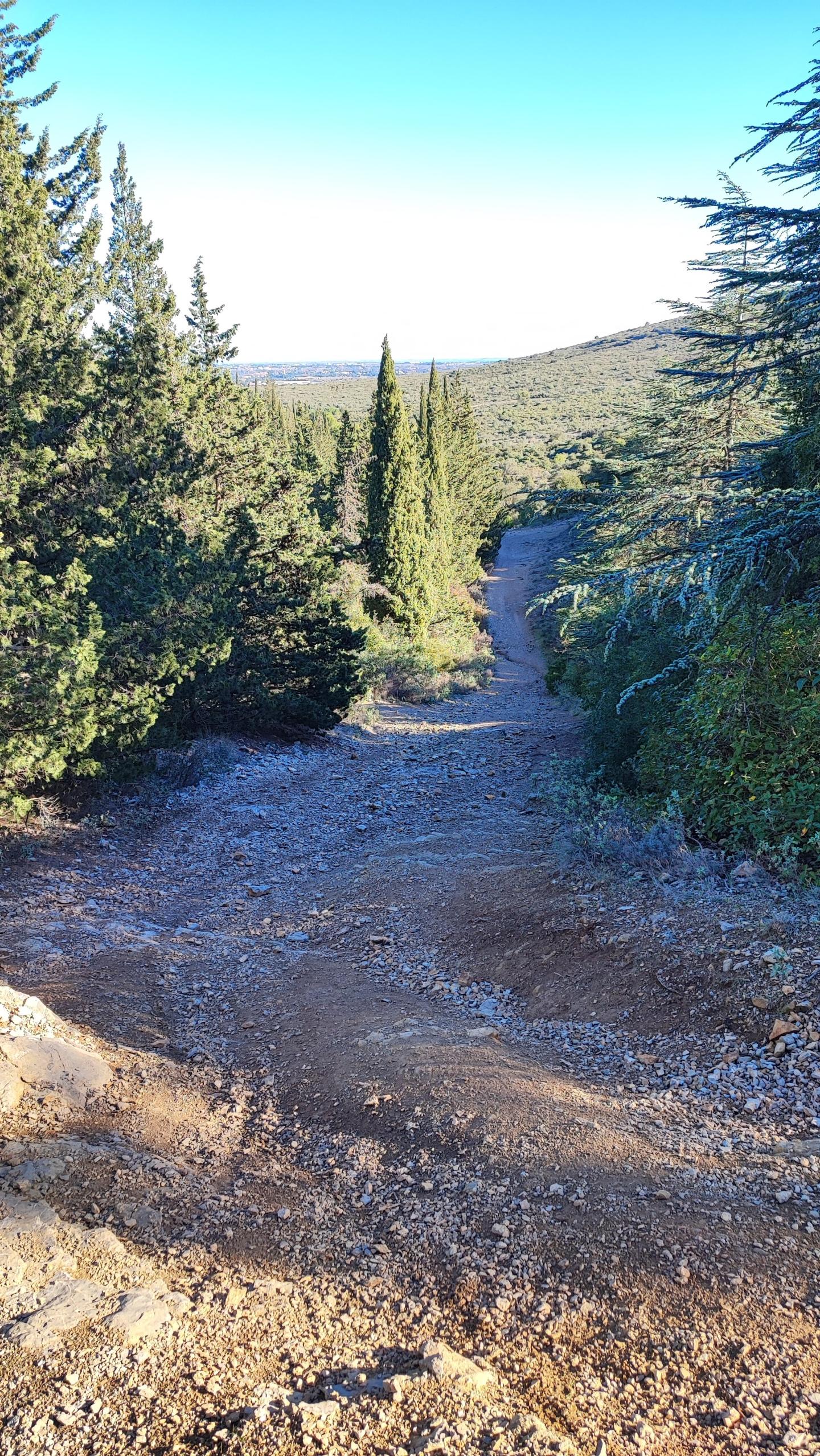 La Gardiole par le sentier botanique
