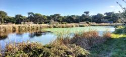 La Lagune et ses Etangs