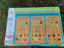 Les empreintes des animaux