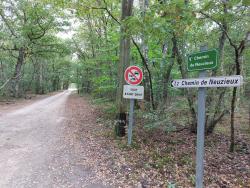 Chemin de Neuzieux