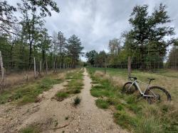 Piste sableuse de Sologne