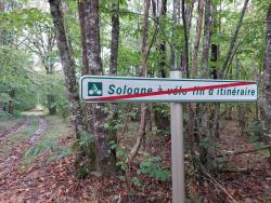 Sologne à Vélo