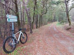 Vers Lamotte-Beuvron
